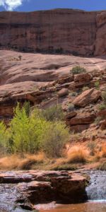 Nature,Bush,Creek,Brook,Gorge,Mountain River,Canyon