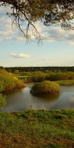 Nature,Bush,Lake,Shore,Bank,Tree,Emptiness,Wood,Void