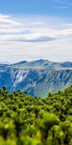 Nature,Bush,Mountains,Landscape