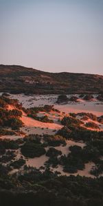 Nature,Bush,Relief,Hills,Evening