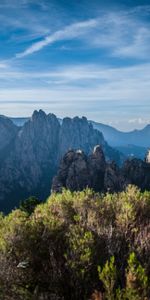 Nature,Bush,Rocks,Landscape