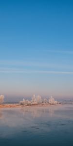 Brouillard,Nature,Arbres,Buissons,Rive,Banque,Rivières