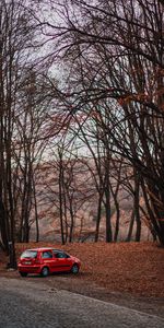 Naturaleza,Coches,Carro,Coche,Otoño