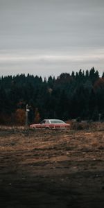 Forêt,Domaine,Vieux,Voitures,Nature,Champ,Vieille,Voiture