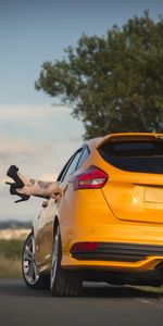 Nature,Cars,Legs,Rest,Shoes,Tattoos,Ford Focus St,Car,Relaxation,Ford,Girl,Tattoo