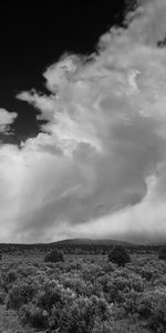 Naturaleza,Nubes,Arbusto,Las Colinas,Bw,Árboles,Colinas,Chb,Paisaje