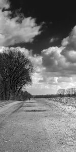 Volumétrique,Volumineux,Arbres,Nuages,Route,Pays,Nature,Campagne,Noir Et Blanc