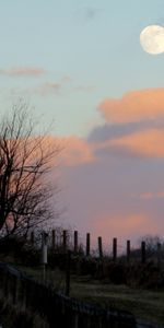 Nature,Clouds,Dusk,Fence,Twilight,Moon