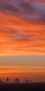 Nature,Clouds,Field,Landscape,Fog,Dawn