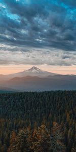 Montañas,Bosque,Niebla,Naturaleza,Nubes,Paisaje