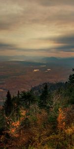 Nature,Clouds,Forest,Fog,Height,Evening,Autumn