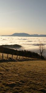 Nature,Nuages,Hauteur,Descente,Haie,Clôture