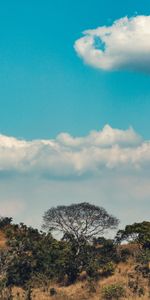 Naturaleza,Nubes,Loma,Sierras,África,Árboles