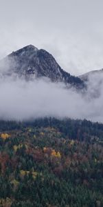 Naturaleza,Nubes,Montaña,Bosque,Paisaje