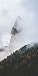 Nature,Clouds,Mountain,Vertex,Top,Forest