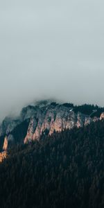 Nature,Clouds,Mountain,Vertex,Top,Forest