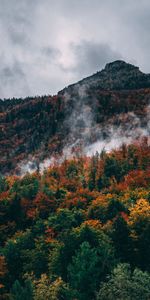 Nature,Nuages,Montagne,Sommet,Retour Au Début,Pente,Forêt