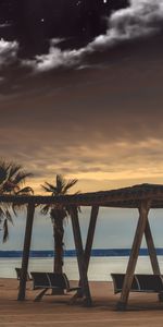 Reposo,Bancos,Nubes,Palms,Relajación,Naturaleza,Noche,Mar,Cielo Estrellado