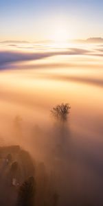 Nature,Clouds,Shine,Light,Fog,Dawn