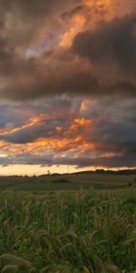 Nature,Clouds,Summer,Field,Landscape