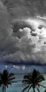 Nature,Clouds,Voluminous,Sky,Volumetric,Sea,Palms