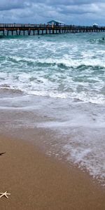 Nature,Coast,Bridge,Gull,Ocean,Seagull,Atlantic Ocean