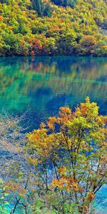 Lac Turquoise Cristal,Lac Crystal Turquoise,Parc National De Jiuzhaigou,Parc National De Jujaigou,Nature,Chine