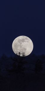 Nature,Dark,Full Moon,Night,Moon