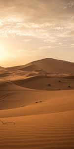 Liens,Nature,Horizon,Désert,Dunes,Sable