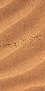 Trace,Pister,Nature,Sable,Désert,Dunes