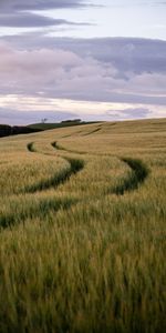 Nature,Field,Hills,Track,Trace,Landscape