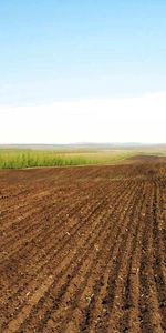 Domaine,Rangs,Nature,Champ,Terre Arable,Terres Arables,Lignes,Agriculture