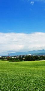 Domaine,Champ,Village,Nature,Plantation,Été,Japon