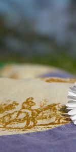 Tissu,Le Tissu,Nature,Camomille,Fleur,Fleurs