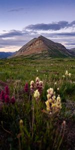 Nature,Flowers,Grass,Mountain,Lawn,Landscape