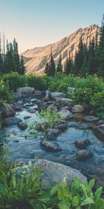 Nature,Flowers,Grass,Mountains,Brook,Creek