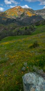 Nature,Herbe,Les Collines,Collines,Montagnes,Fleurs,Paysage