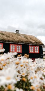 Naturaleza,Flores,Casa