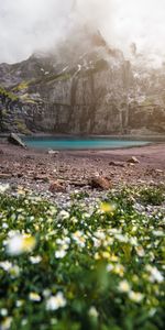 Nature,Flowers,Mountains,Rocks,Lake,Fog