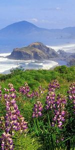 Nature,Flowers,Mountains,Sea,Shore,Bank,Greens,Waves