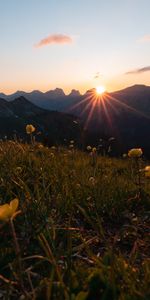 Naturaleza,Flores,Sol,Vigas,Rayos,Montañas