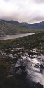 Nature,Flowers,Mountains,Top,Landscape,Stones,Vertex