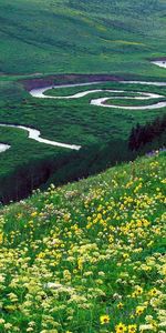 Naturaleza,Flores,Ríos,Montañas,Claro,Polyana,Curvas,Enfermedad De Buzo