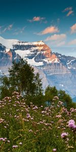 Naturaleza,Flores,Cielo,Tops,Cubierto De Nieve,Nevado,Polyana,Claro,Montañas,Vértice,Espinas,Pureza