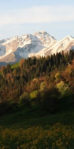 Sommet,Hauts,Nature,Arbres,Pente,Fleurs,Montagnes