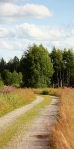 Flores,Árboles,Cielo,Nubes,Camino,Borde Del Camino,Naturaleza,Campo,Hombro,País