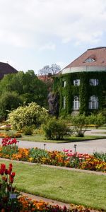 Cour,Yard,Propriété,Nature,Fleurs,Domaine,Jardin,Végétation