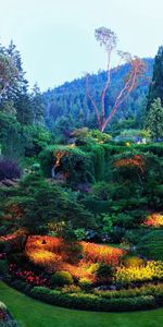 La Diversité,Variété,Nature,Fleurs,Végétation,Jardin