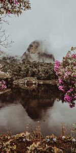 Nature,Flowers,Water,Clouds,Mountain,Park,Branches,Pedra Azul,Fog,Brazil