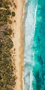 Nature,Foam,Palms,Ocean,Surf,Sand,Coast